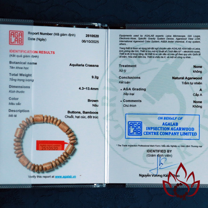 Vòng Trầm Hương Bất Quy Tắc | 10 Ly | Trầm Tốc Kiến Tự Nhiên Lâu Năm